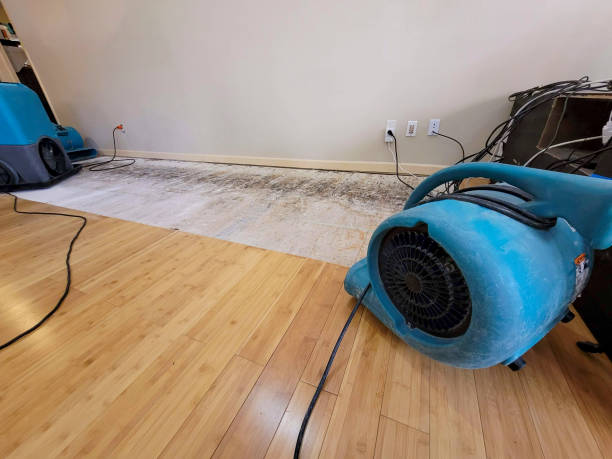 Professional Water Removal technician working in Burnham, ME